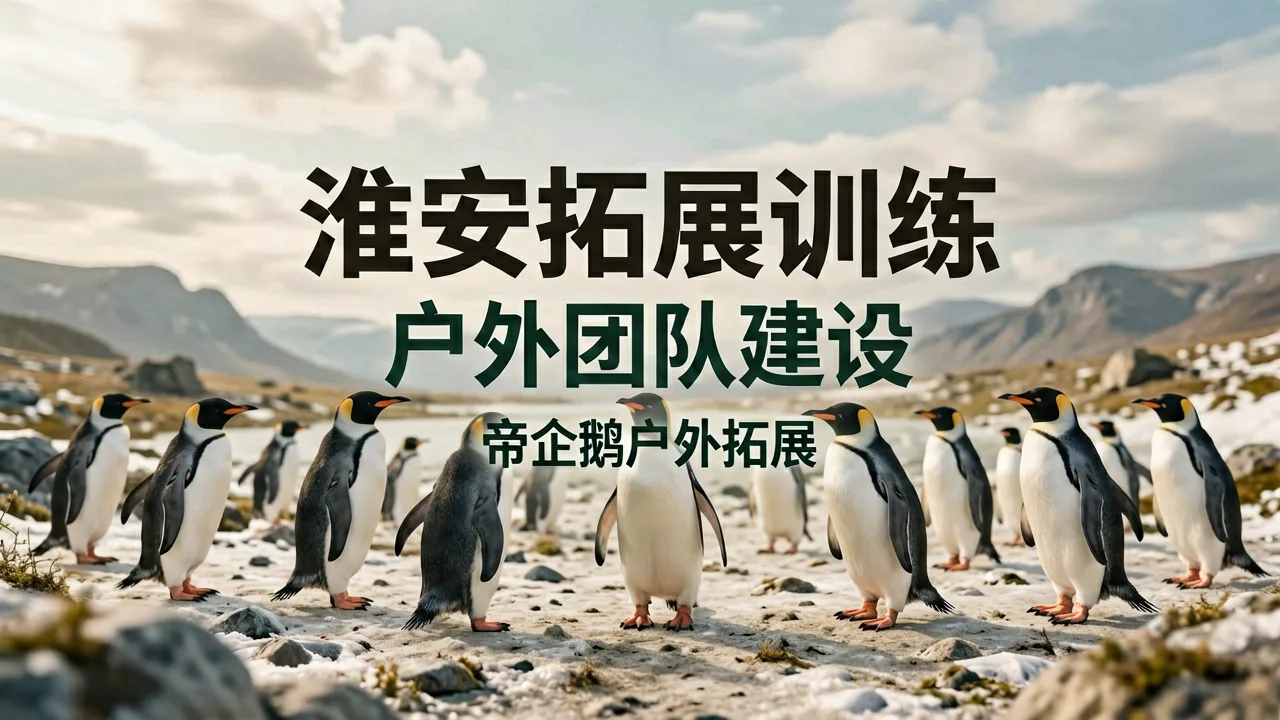 淮安帝企鹅户外拓展训练服务有限公司 主题配图